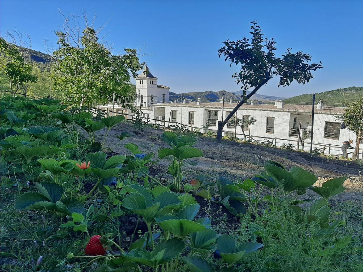 Hotel Apartamento Nueva Alcazaba Busquistar Екстер'єр фото